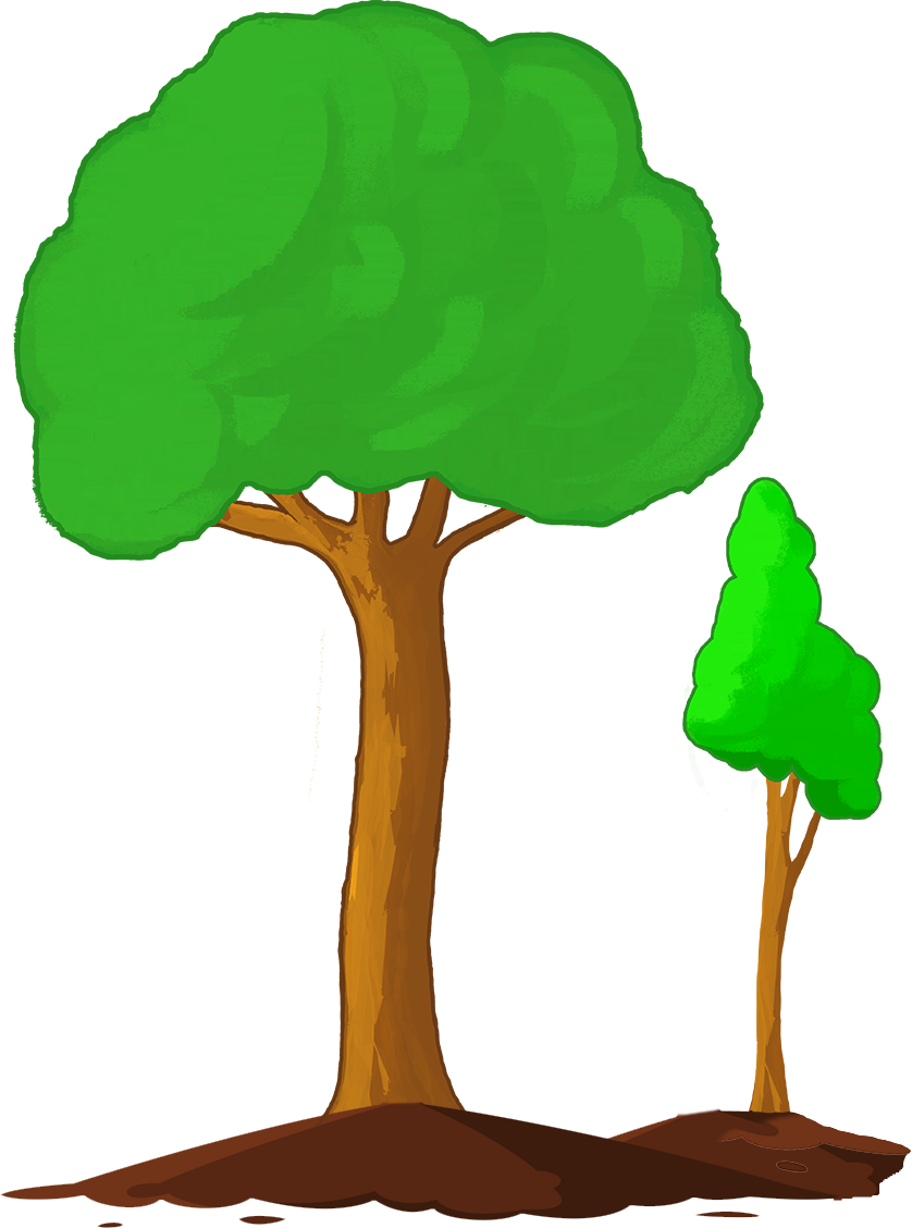Baum